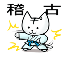 Posiro Karate sticker #11604369