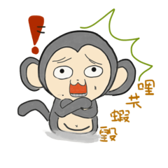 routine life of monkey family