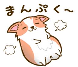 Naughty Corgi 1 sticker #11604577