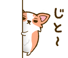 Naughty Corgi 1 sticker #11604593