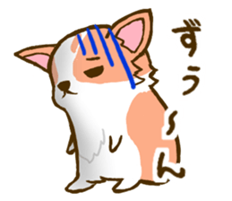 Naughty Corgi 1 sticker #11604604