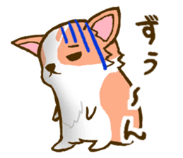 Naughty Corgi 1 sticker #11604604