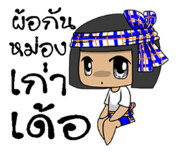 lapan e-sarn sticker #11607066