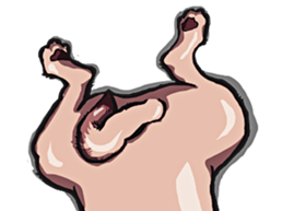 Mr. Pug Zai sticker #11609691