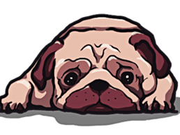 Mr. Pug Zai sticker #11609708