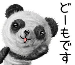 Little realistic Panda sticker #11610969