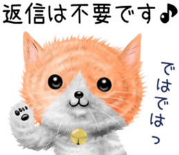 nekokawasan keigo natu sticker #11611371