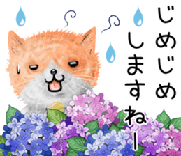 nekokawasan keigo natu sticker #11611372