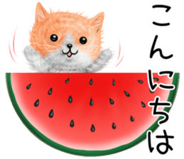 nekokawasan keigo natu sticker #11611377