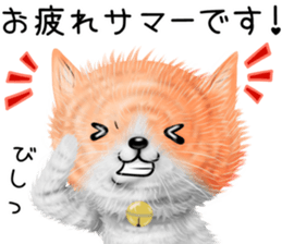 nekokawasan keigo natu sticker #11611383