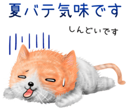 nekokawasan keigo natu sticker #11611388