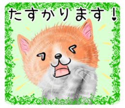 nekokawasan keigo natu sticker #11611391