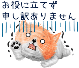 nekokawasan keigo natu sticker #11611396