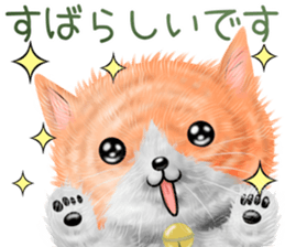 nekokawasan keigo natu sticker #11611399