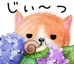 nekokawasan keigo natu sticker #11611401