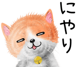 nekokawasan keigo natu sticker #11611403