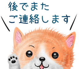 nekokawasan keigo natu sticker #11611404