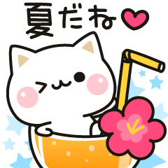 Cat to concern(Summer ver.)
