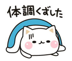 Cat to concern(Summer ver.) sticker #11611462