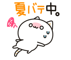 Cat to concern(Summer ver.) sticker #11611463