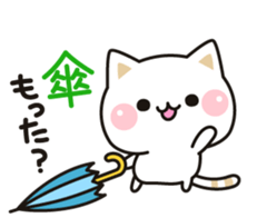 Cat to concern(Summer ver.) sticker #11611468