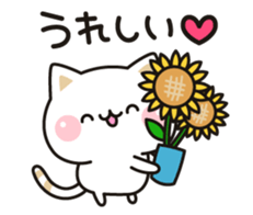 Cat to concern(Summer ver.) sticker #11611483