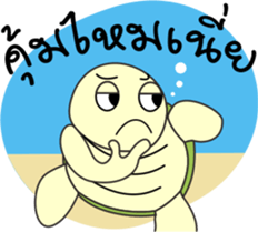 Dolphins and the friends sticker #11612073