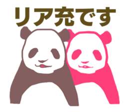 easy-to-use panda sticker #11613764