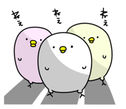 There are many chicks. sticker #11615166