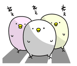 There are many chicks. sticker #11615166