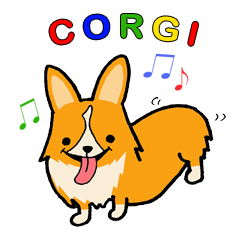 A charming corgi chiro