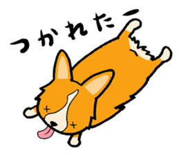 A charming corgi chiro sticker #11616336