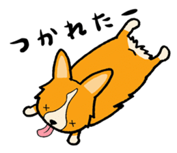 A charming corgi chiro sticker #11616336