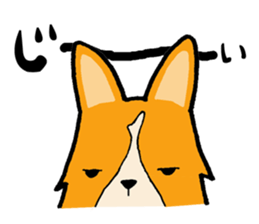A charming corgi chiro sticker #11616340