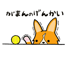 A charming corgi chiro sticker #11616347