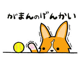 A charming corgi chiro sticker #11616347