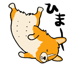 A charming corgi chiro sticker #11616353