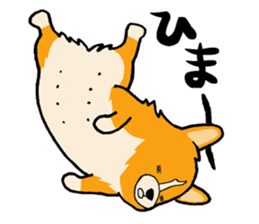 A charming corgi chiro sticker #11616353