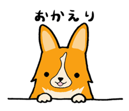 A charming corgi chiro sticker #11616355