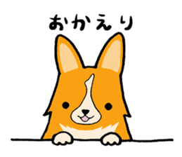 A charming corgi chiro sticker #11616355