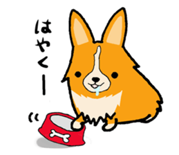 A charming corgi chiro sticker #11616359