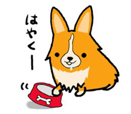 A charming corgi chiro sticker #11616359