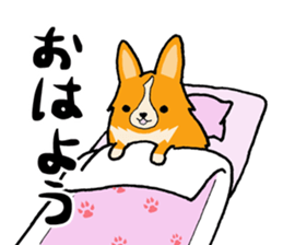 A charming corgi chiro sticker #11616362
