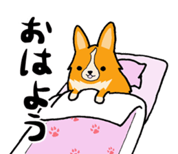 A charming corgi chiro sticker #11616362