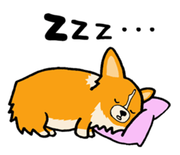 A charming corgi chiro sticker #11616364