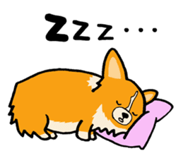 A charming corgi chiro sticker #11616364