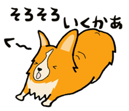A charming corgi chiro sticker #11616365