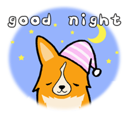 A charming corgi chiro sticker #11616366