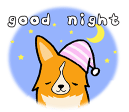A charming corgi chiro sticker #11616366