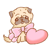 Sticker of a cute pug sticker #11616735